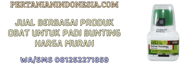jual,murah,terjangkau,toko pertanian terdekat,pertanian indonesia